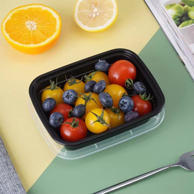 Factory direct sales food container (1)