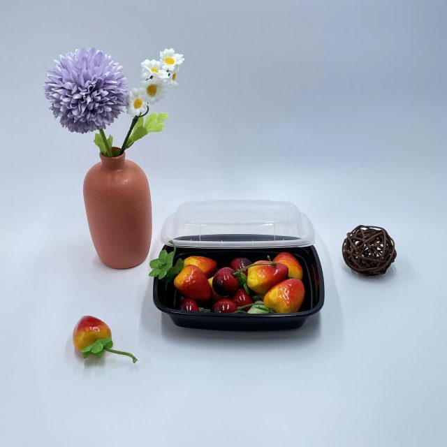 Factory direct sales food container (1)