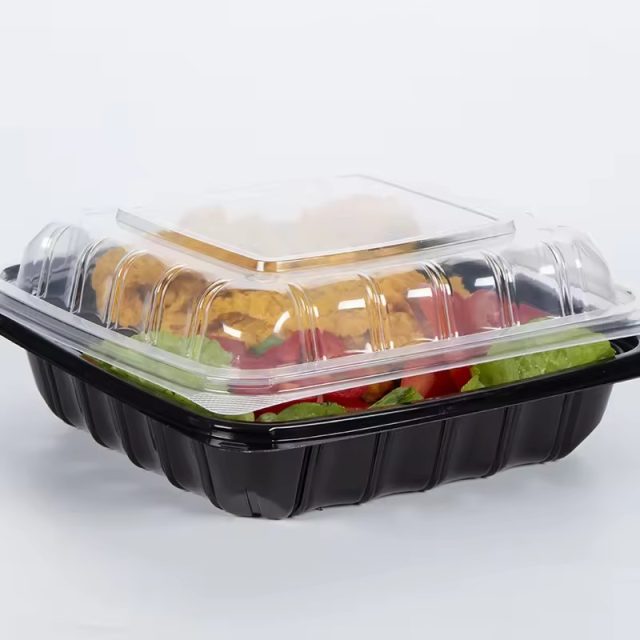 Food container supplier (4)