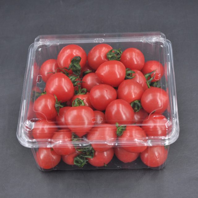 High quality fruit packaging (1)