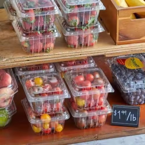 High quality fruit packaging (2)