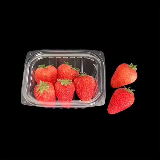 High quality fruit packaging (4)