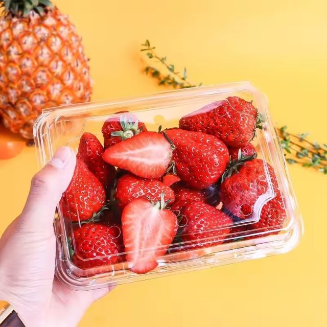 Hot selling fruit packaging (1)