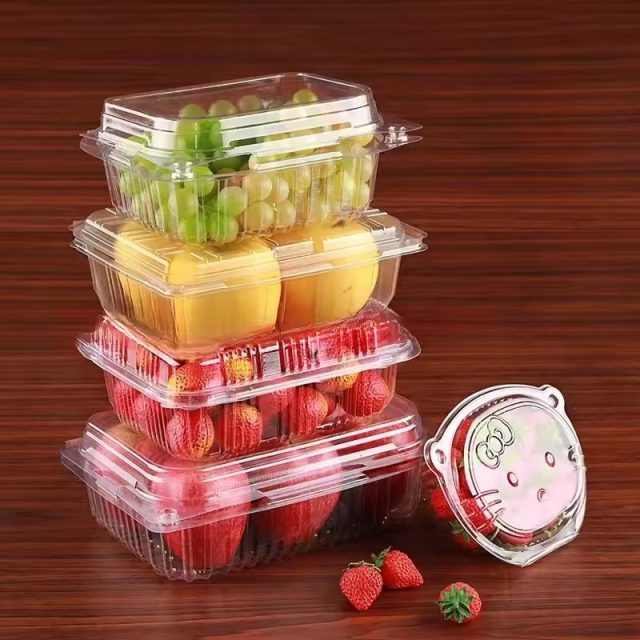 Hot selling fruit packaging (1)