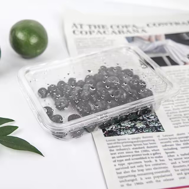 Hot selling fruit packaging (1)