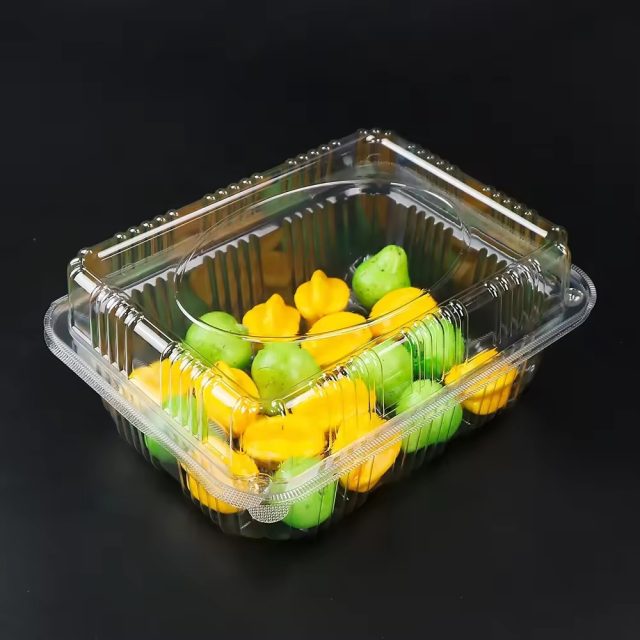 Hot selling fruit packaging (1)