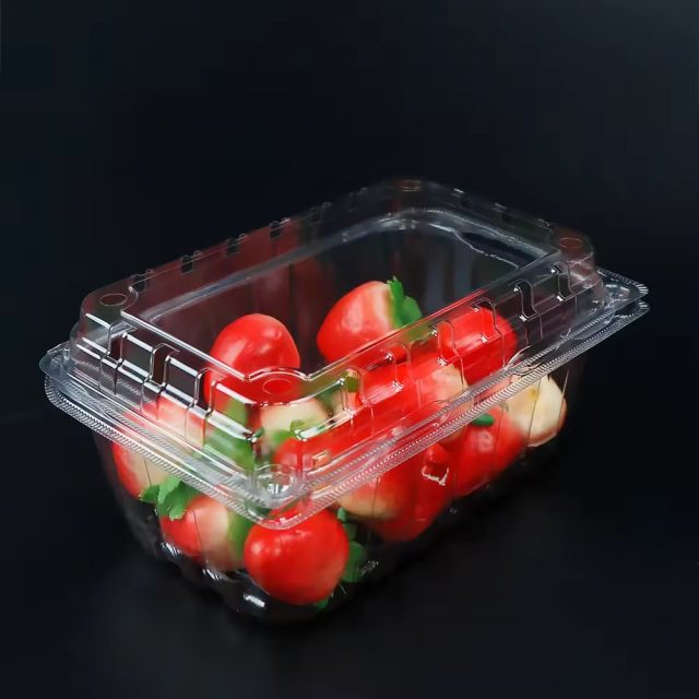 Hot selling fruit packaging (2)