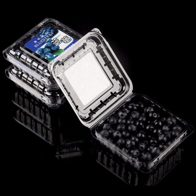 Hot selling fruit packaging (2)