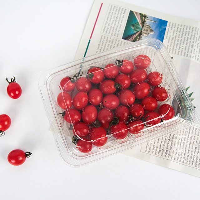 Hot selling fruit packaging (6)