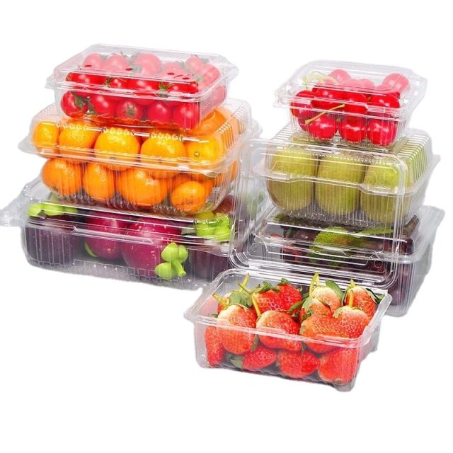Hot selling fruit packaging (6)
