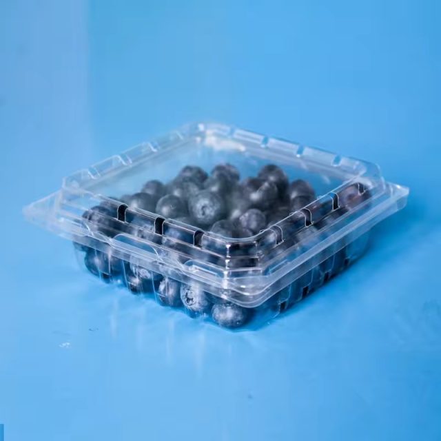 Hot selling fruit packaging