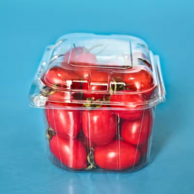 Hot selling fruit packaging