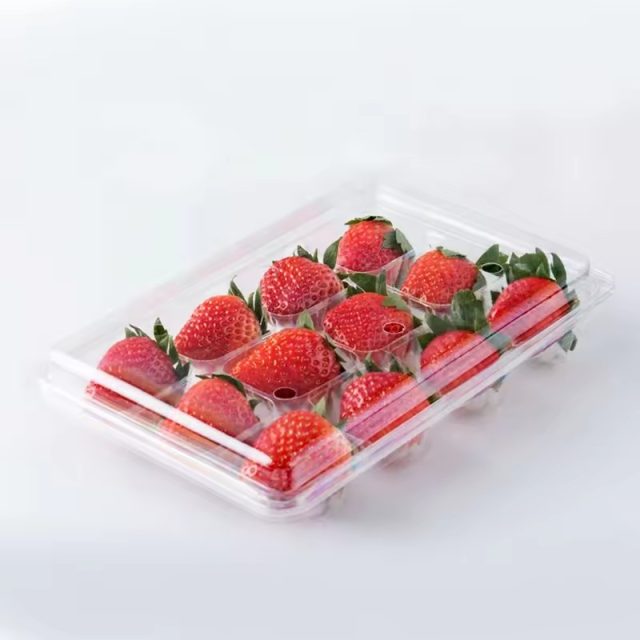 Wholesale fruit packaging (1)