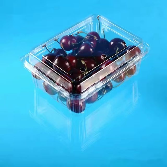 Wholesale fruit packaging (1)