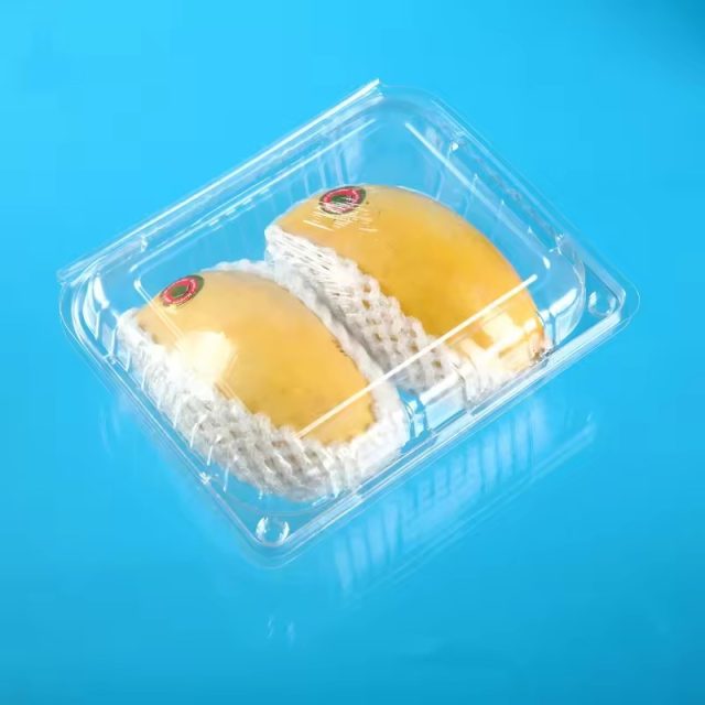 Wholesale fruit packaging (4)