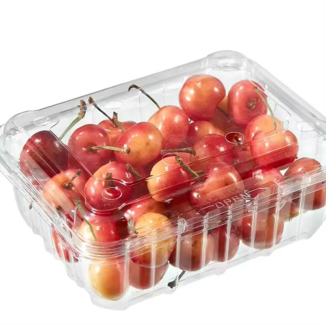 Wholesale fruit packaging (5)